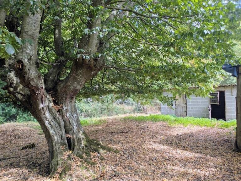 LONGÈRE À RÉNOVER – NOMBREUSES DÉPENDANCES – 3 760 M² DE TERRAIN-ENTRE POIX DE PICARDIE ET AUMALE — photo 1