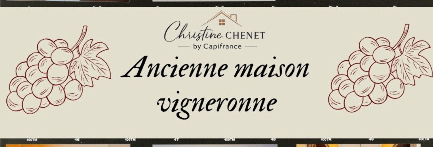 Maison 12 Pièces 259 m² à vendre à Marsillargues (34590)