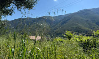 Terrain  623 m² à vendre à Occhiatana (20226)