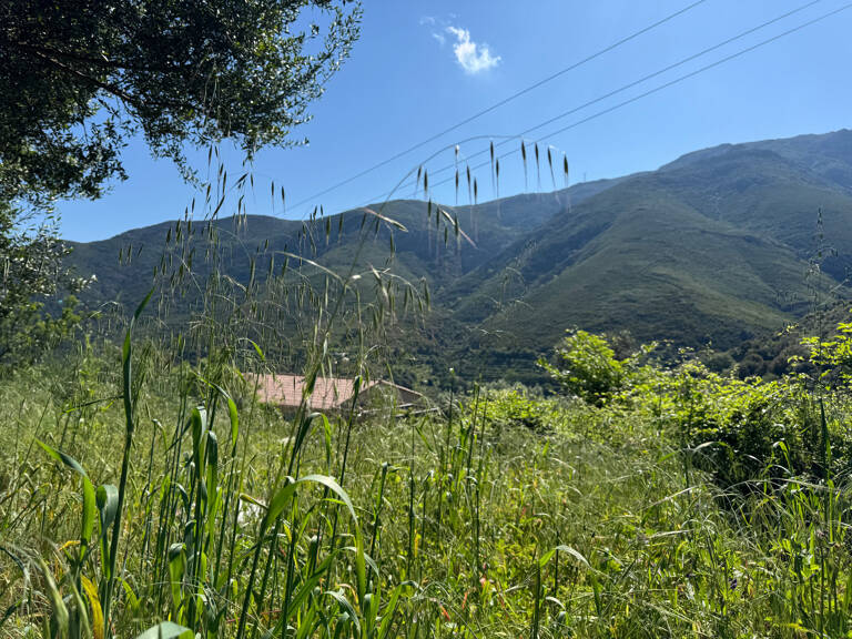 Terrain à vendre à OCCHIATANA (20) — photo 1