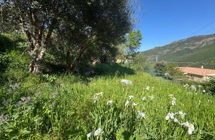 Terrain à vendre à OCCHIATANA (20) — photo 2