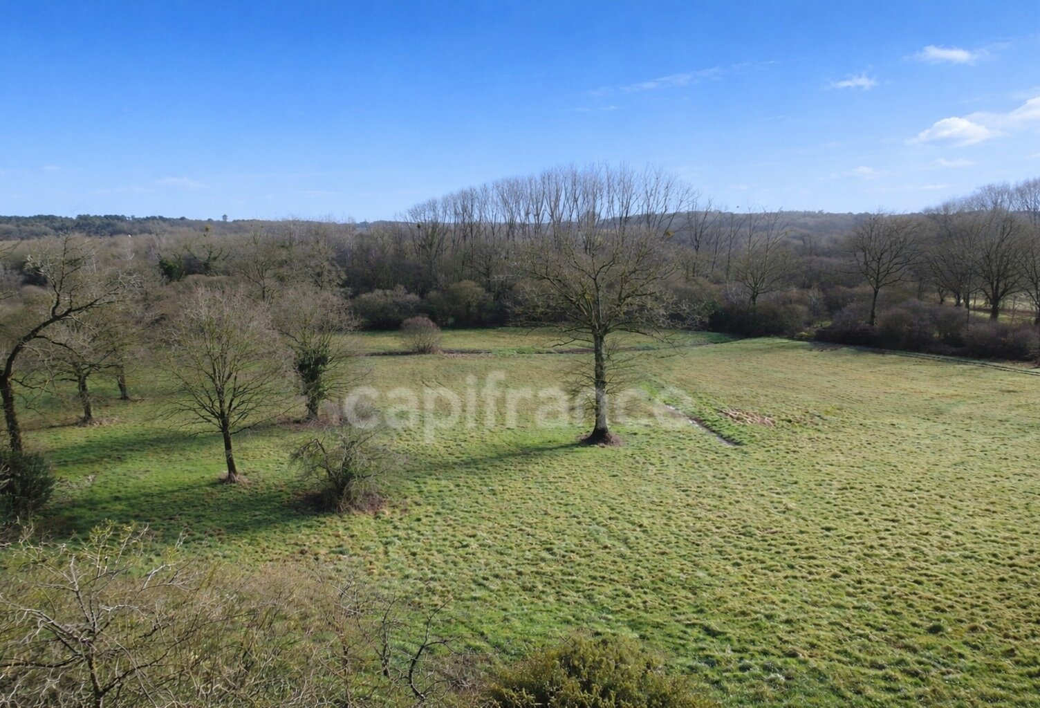 Maison mitoyenne en pierres à rénover avec 2 hectares de terrain plat à Carentoir – Idéal chevaux et projets nature.” — photo 1