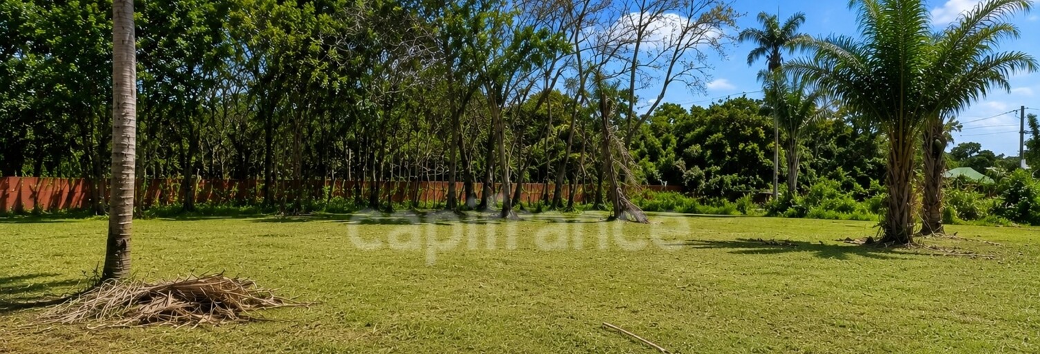 Terrain  1008 m² à vendre à Macouria (97355)