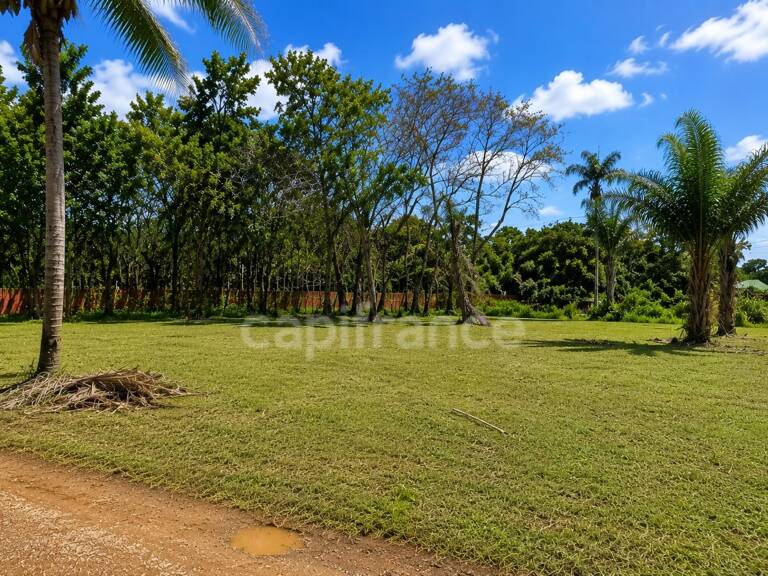 Terrain constructible de 1008 m² - Les Jardins de Sainte Agathe - MACOURIA (973) — photo 1