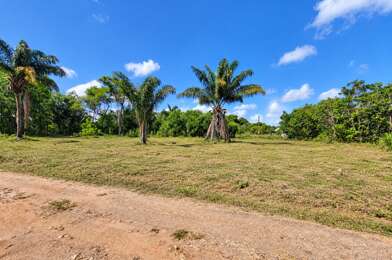 Terrain  90000 €