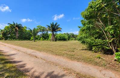 Terrain constructible de 1008 m² - Les Jardins de Sainte Agathe - MACOURIA (973) — photo du bien