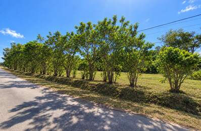 Terrain constructible de 1010 m² - Les Jardins de Sainte Agathe - MACOURIA (973) — photo du bien