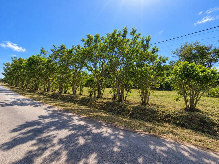 Terrain constructible de 1010 m² - Les Jardins de Sainte Agathe - MACOURIA (973) — photo 1