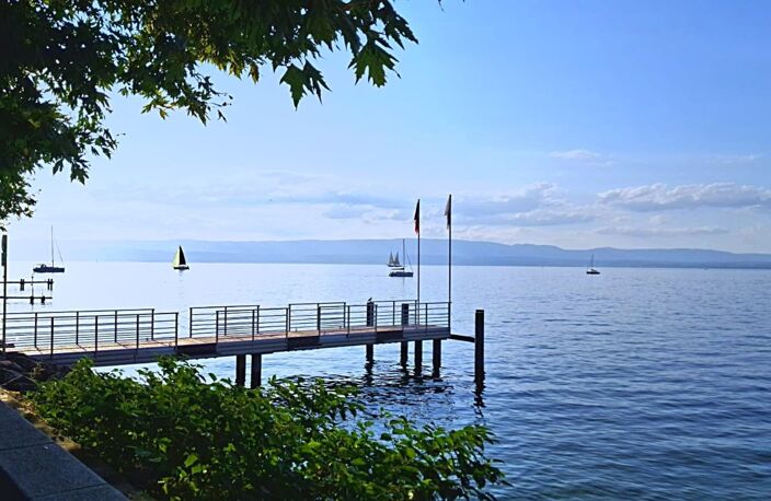 Maison de caractère au bord du Lac Léman avec dépendances - EVIAN LES BAINS (74) — photo 2