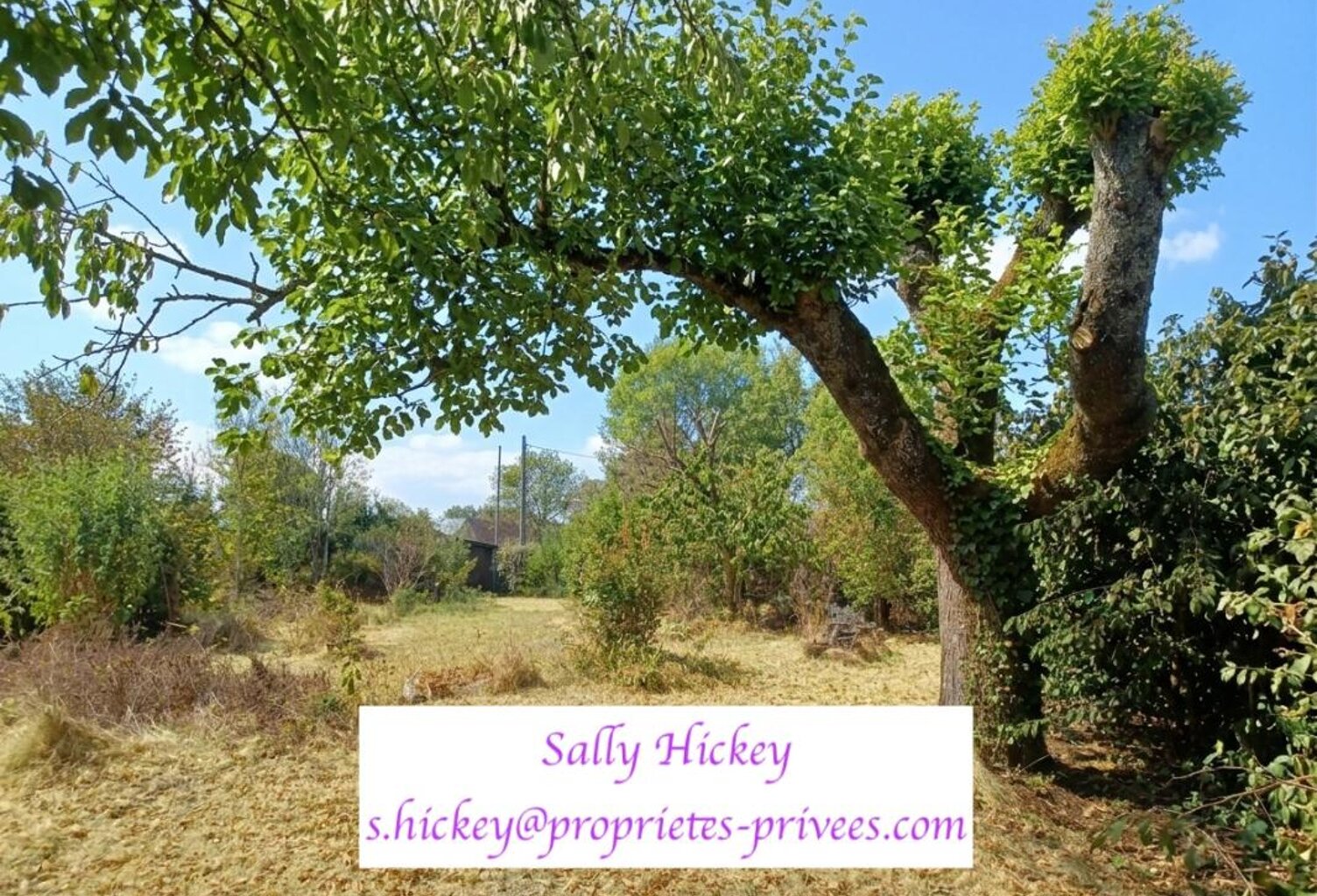 Sally Hickey vous propose ce terrain constructible de 665 m²  dans la commune de NIVILLAC. EN EXCLUSIVITÉ — photo 1