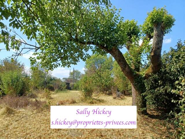 Sally Hickey vous propose ce terrain constructible de 665 m²  dans la commune de NIVILLAC. EN EXCLUSIVITÉ — photo du bien