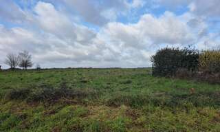 Terrain  4500 m² à vendre à Saunay (37110)