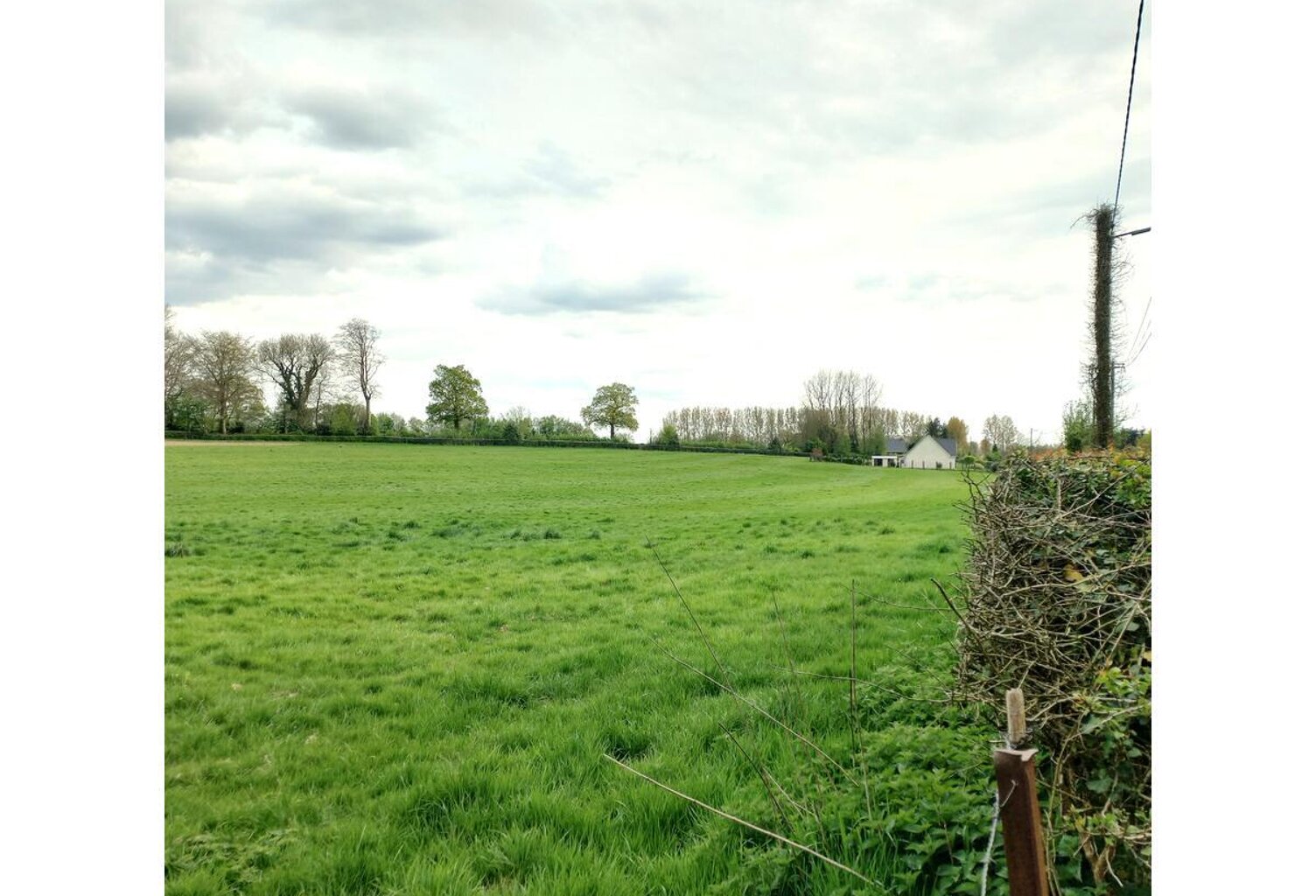 Terrain — photo 1