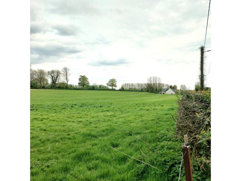 Terrain — photo 1