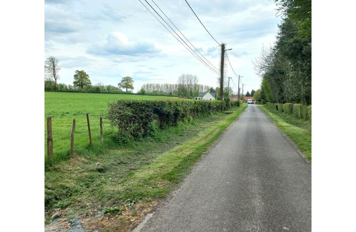 Terrain — photo 2