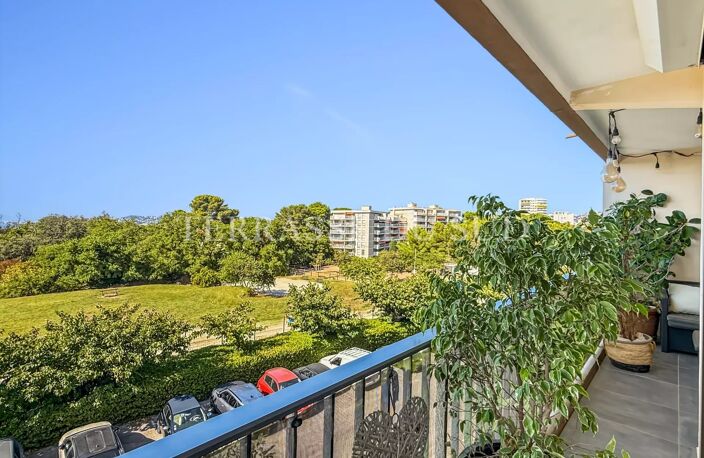 Vente Appartement 3 Pièce de 73 m2 avec Balcon/Terrasse, Loggia et Cave - Pointe-Rouge / Pastré - Marseille 8 — photo 3