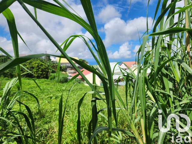 Vente Terrain à bâtir 1 200 m&sup2; — photo du bien
