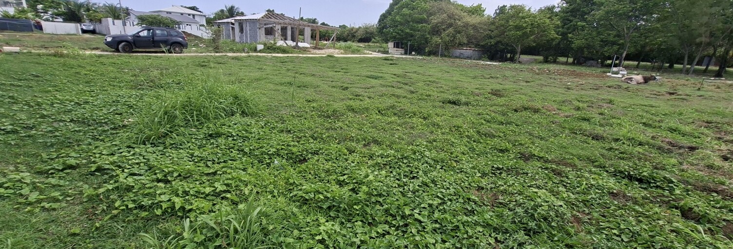 Terrain  600 m² à vendre à Saint-François (97118)
