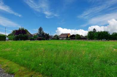 Terrain  95000 €