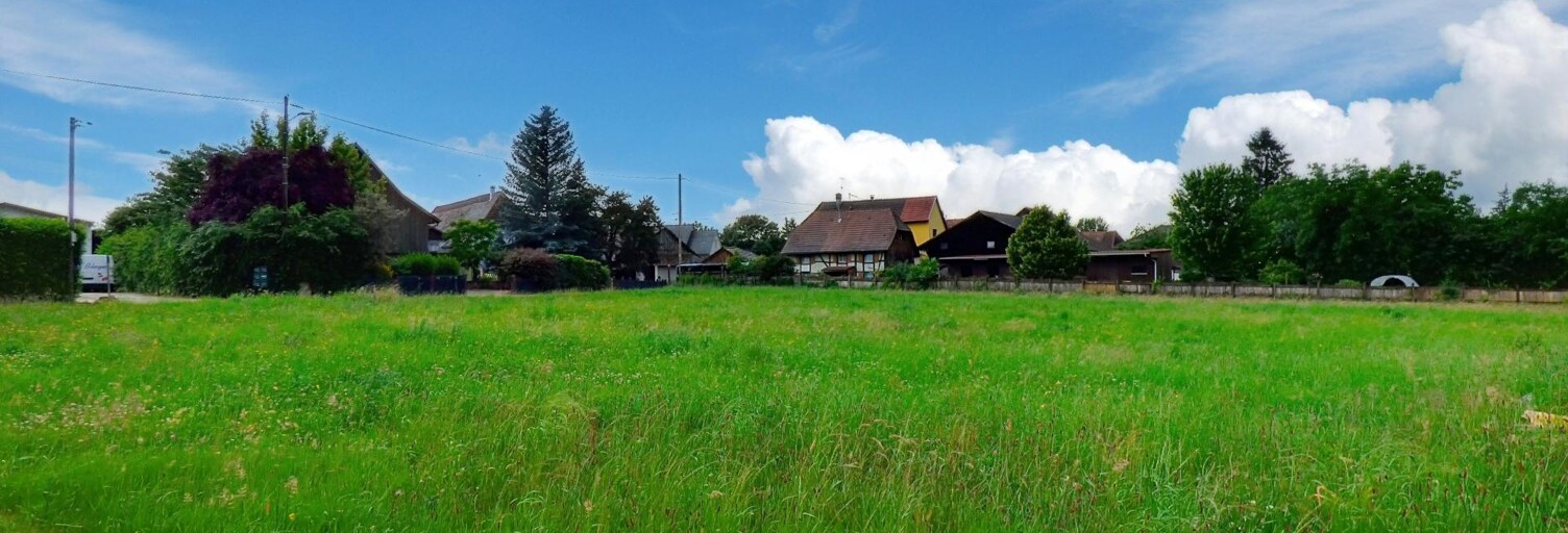 Terrain  816 m² à vendre à Traubach-le-Bas (68210)