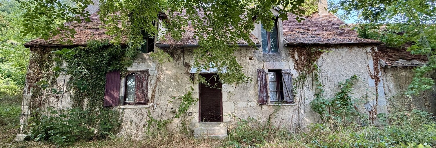 Maison 2 Pièces 70 m² à vendre à Le Blanc (36300)