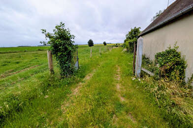 Terrain  61000 €