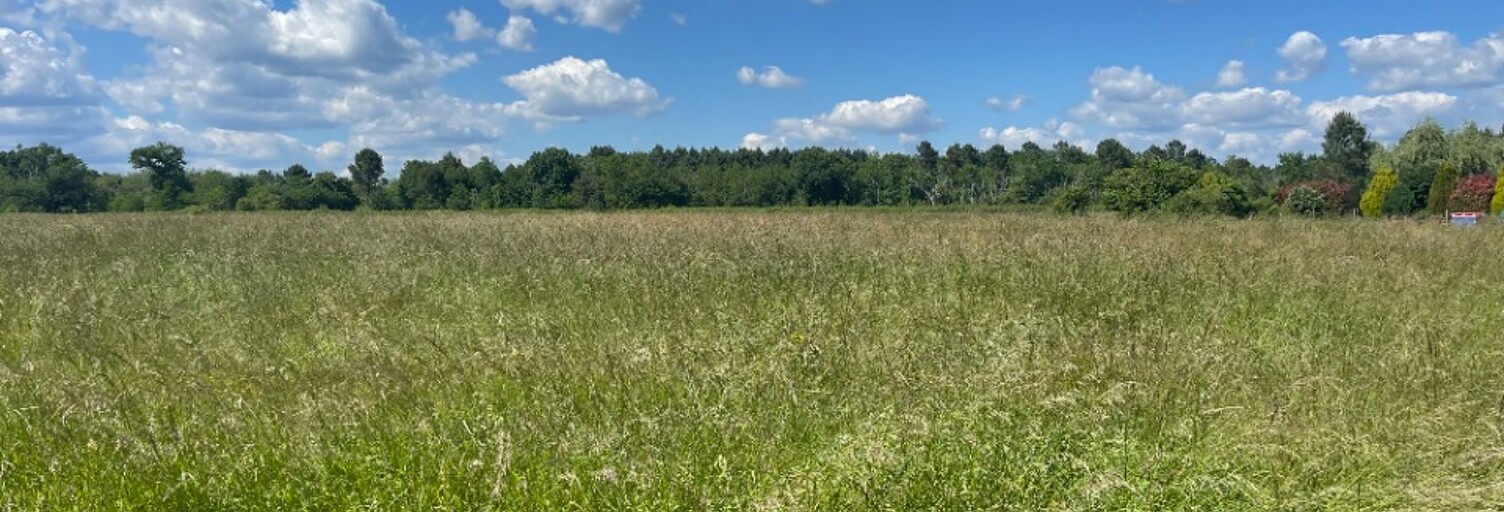 Terrain  1800 m² à vendre à Pompéjac (33730)