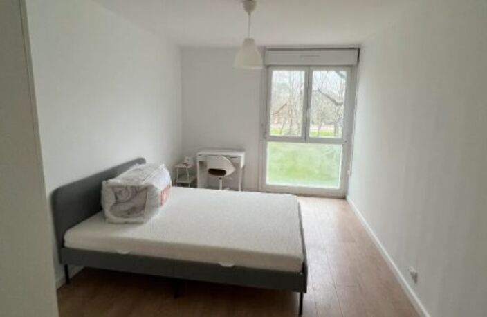 T5 — photo 3