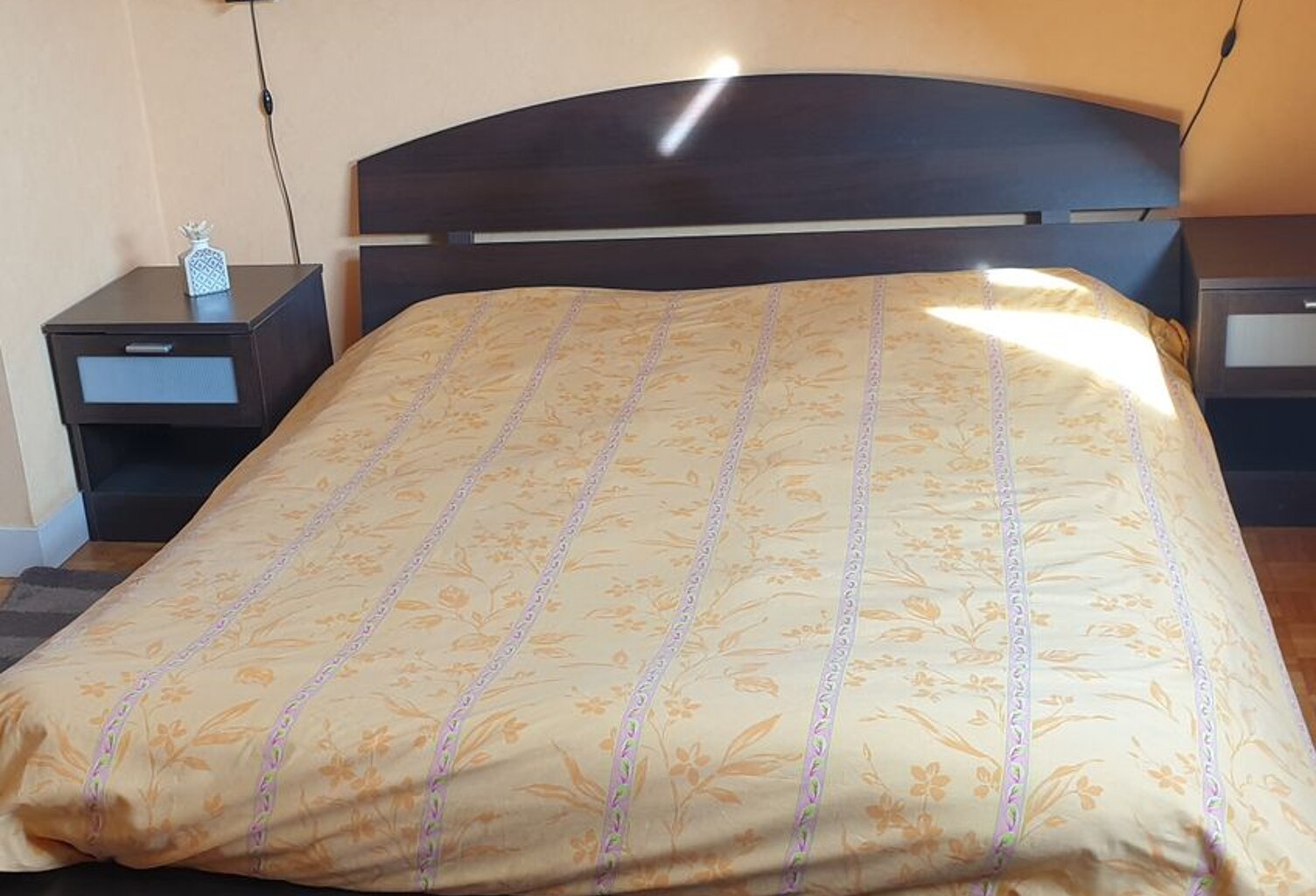 Chambre de 20m2 à louer sur Truyes — photo 1