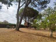 Maison de 214m2 à louer sur Graulhet — photo 3
