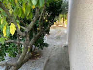 Villa 3 chambres avec sous-sol et garage — photo 3