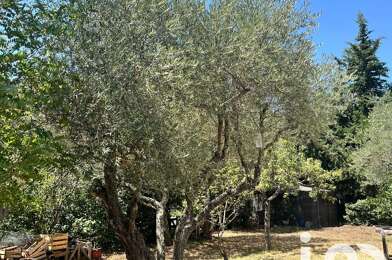 Terrain  168000 €