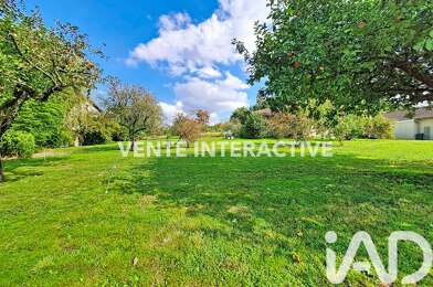 Terrain  60000 €