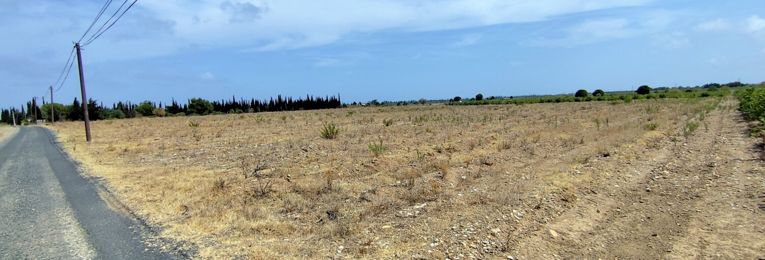 Terrain  32300 m² à vendre à Salses-le-Château (66600)