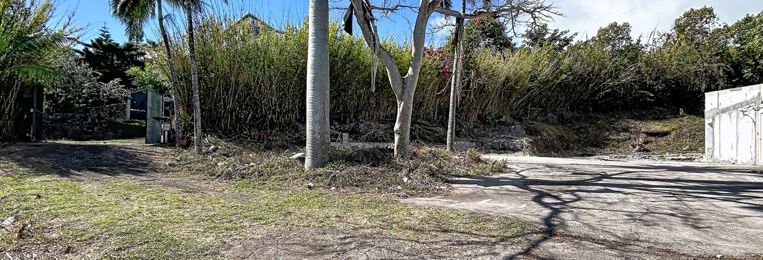 Terrain  439 m² à vendre à Saint-Denis (97400)
