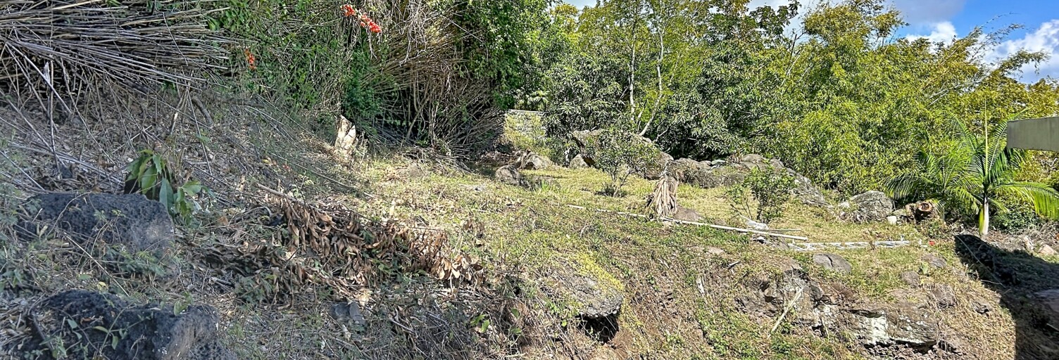 Terrain  700 m² à vendre à Saint-Denis (97400)