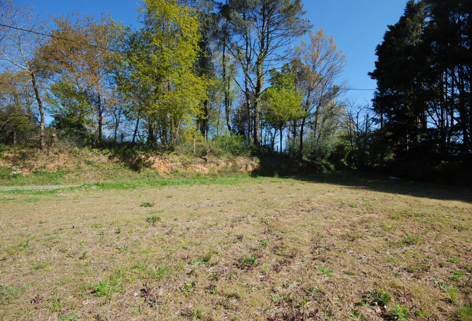 TERRAIN POUILLON — photo 1