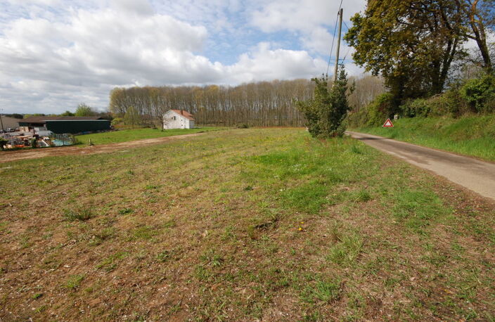 TERRAIN POUILLON — photo 2