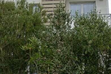 Appartement 1 pièces 350 €