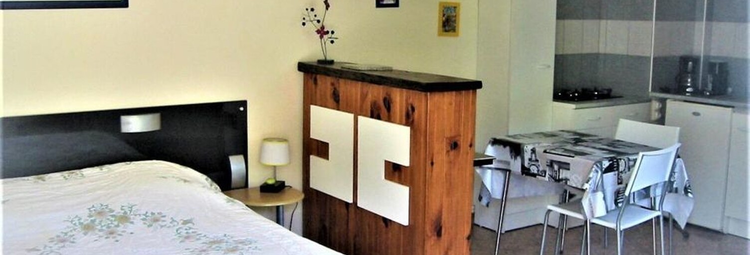 Appartement 1 Pièce 28 m² à louer à Saint-Germain-des-Fossés (03260)