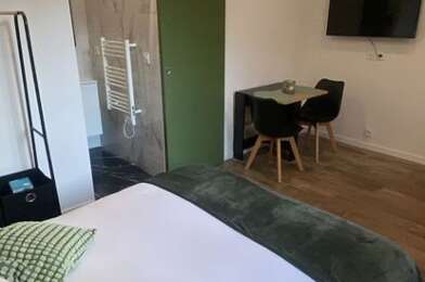 Appartement 1 pièces 1000 €