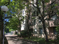 LYON 3e /TRES BEAU T5 — photo 3