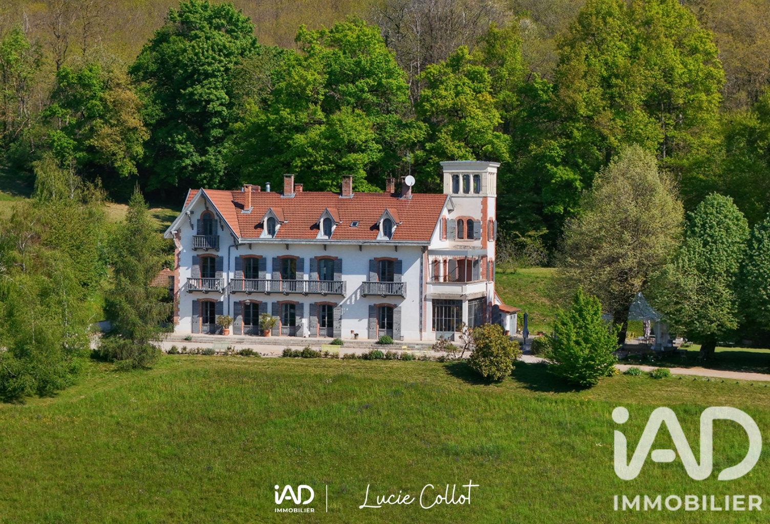 Vente Domaine 14 pièces — photo 1