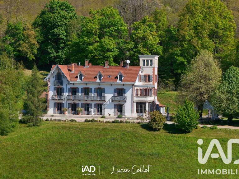 Vente Domaine 14 pièces — photo 1