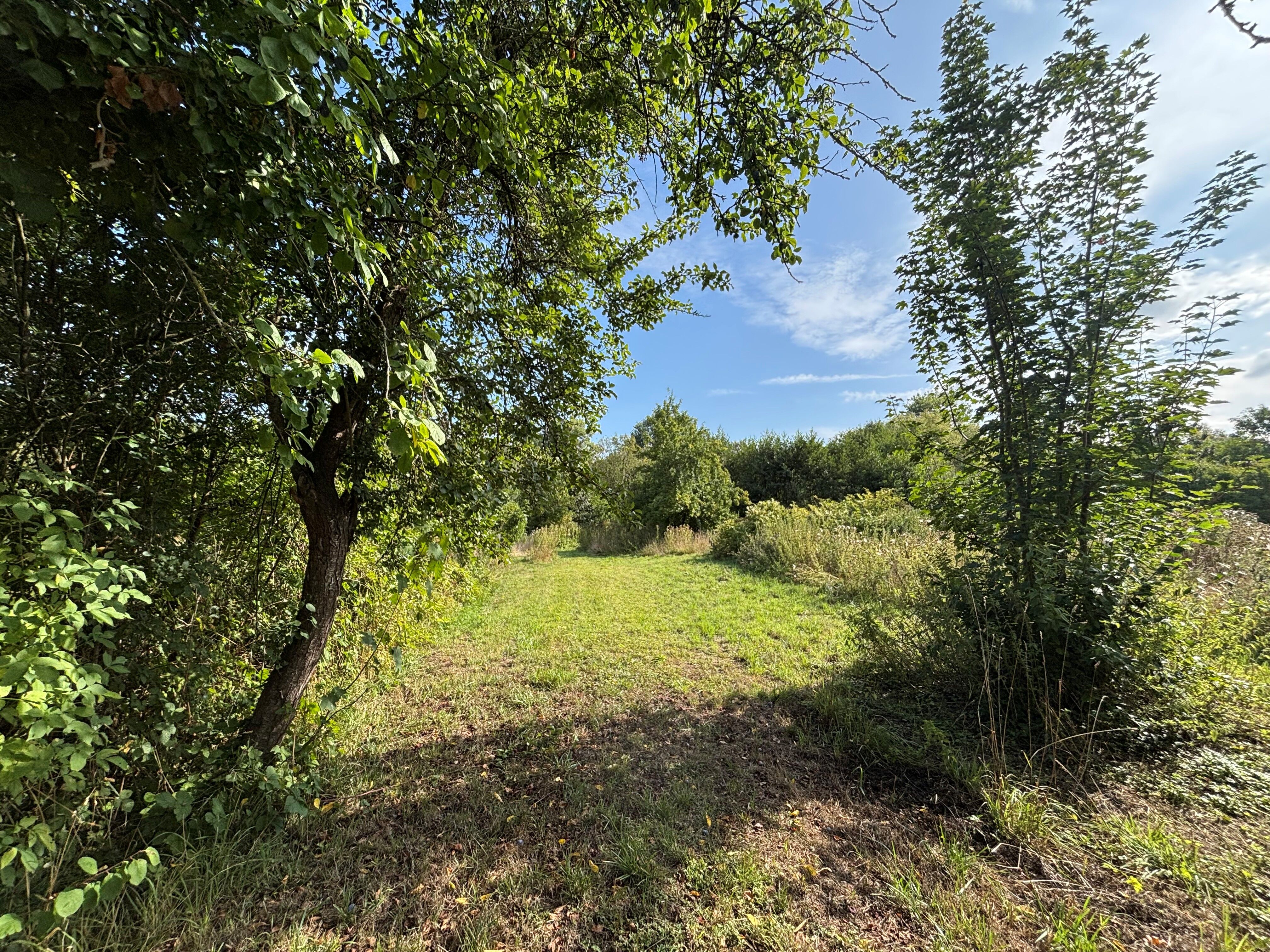 Terrain à bâtir de 3 860 m² avec parcelle d'étang
