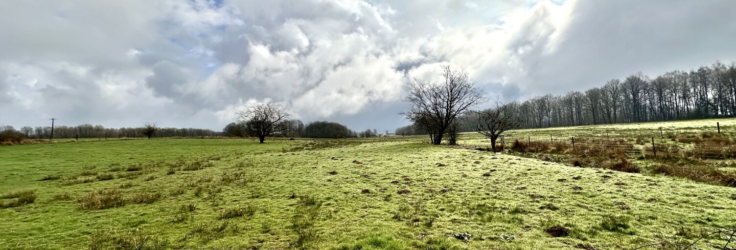 Terrain  1341 m² à vendre à Sévigny-la-Forêt (08230)