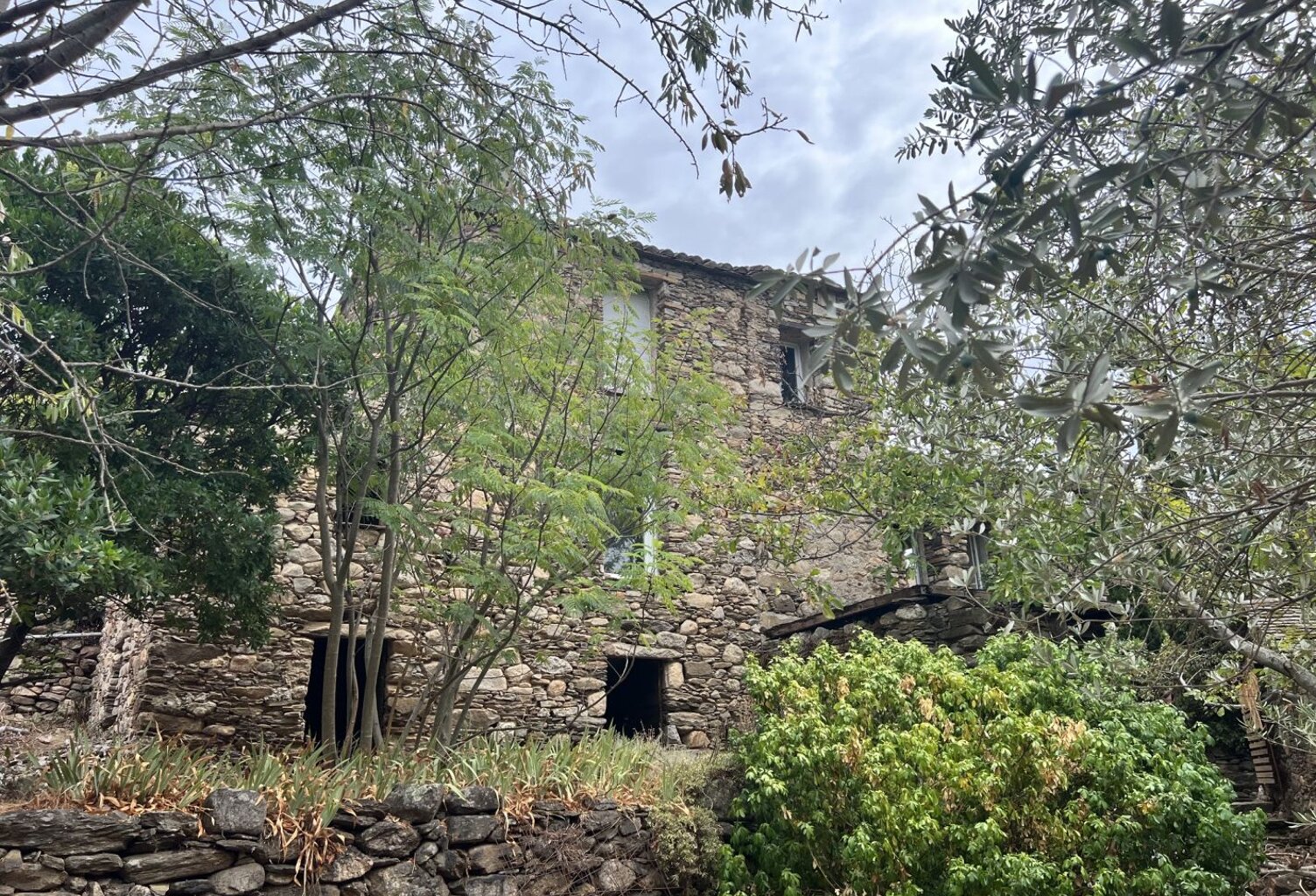 Maison de village avec terrain — photo 1