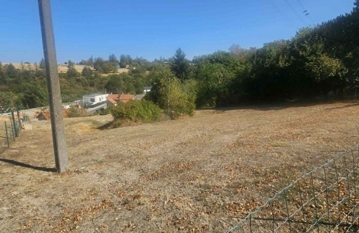 Terrain — photo 3