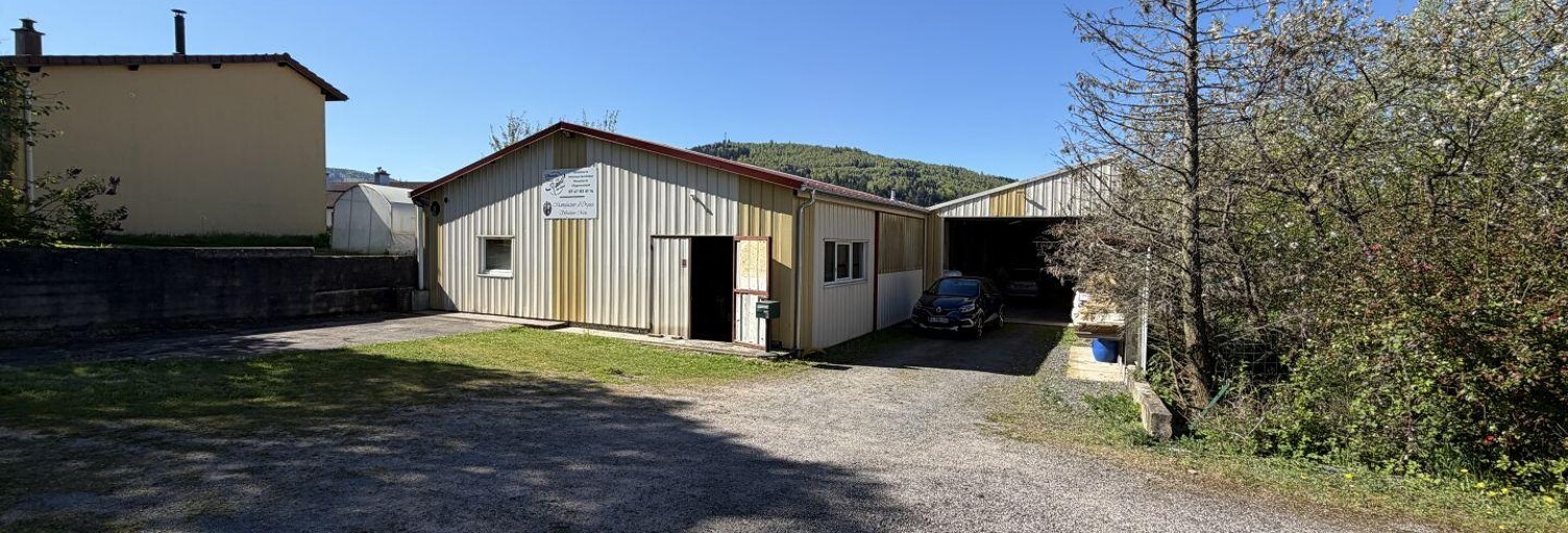 Commerce  422 m² à vendre à Fraize (88230)
