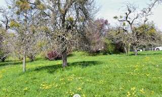 Terrain  549 m² à vendre à Bogève (74250)